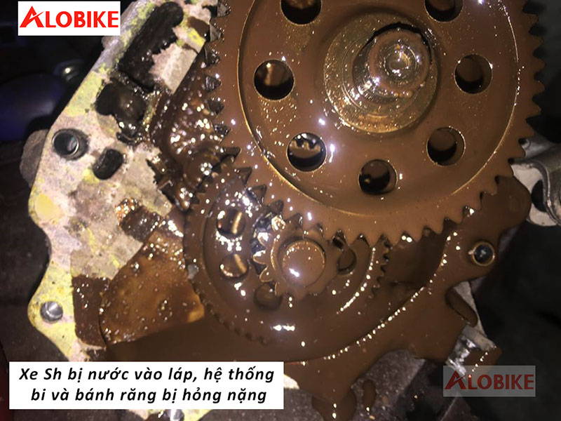 bảo tr&igrave; xe sh