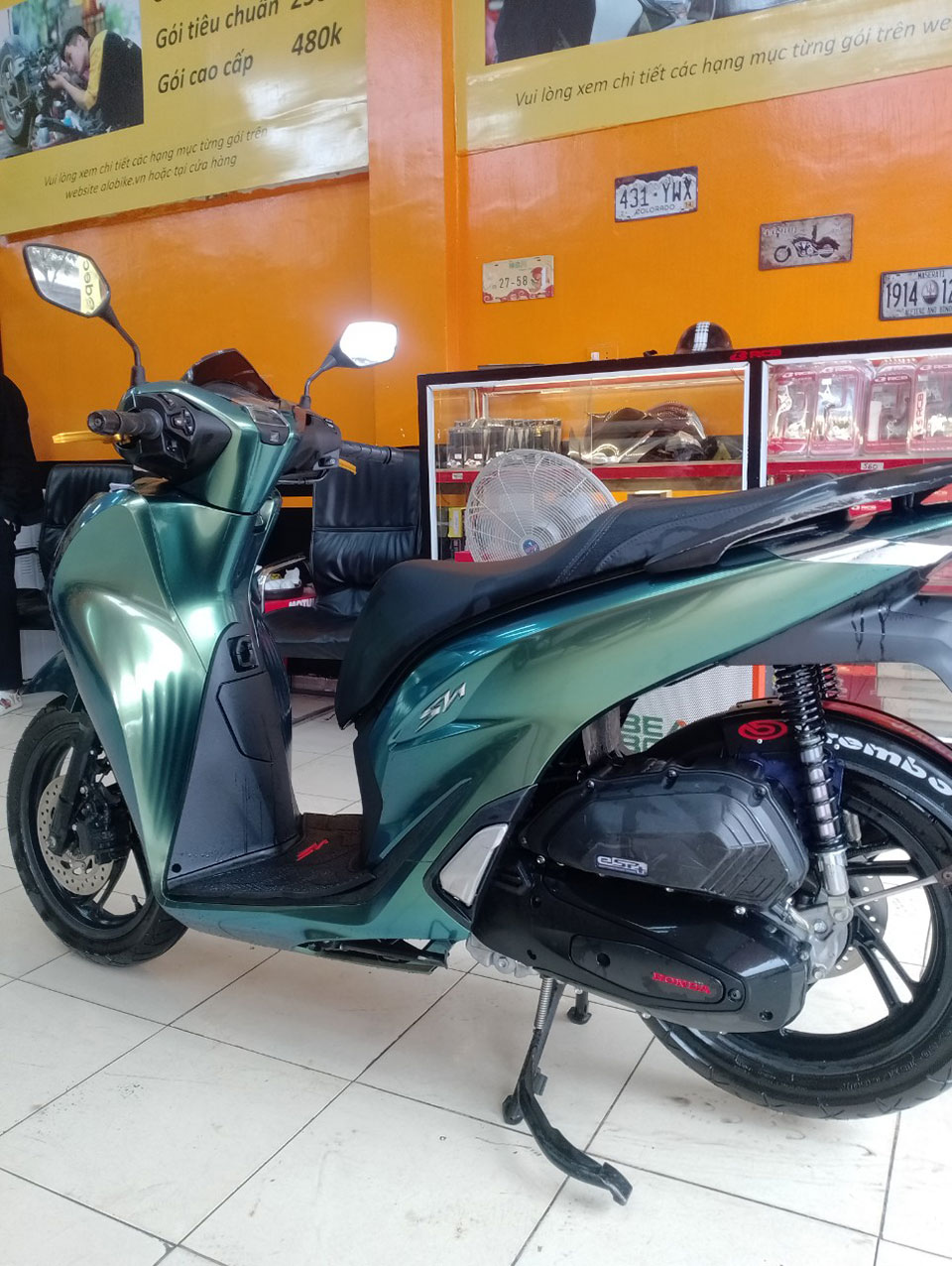 dán xe sh xanh rêu
