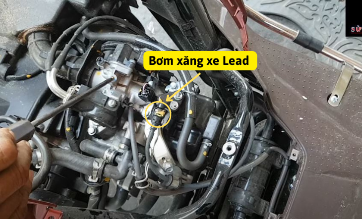 xe lead kh&ocirc;ng nổ được m&aacute;y